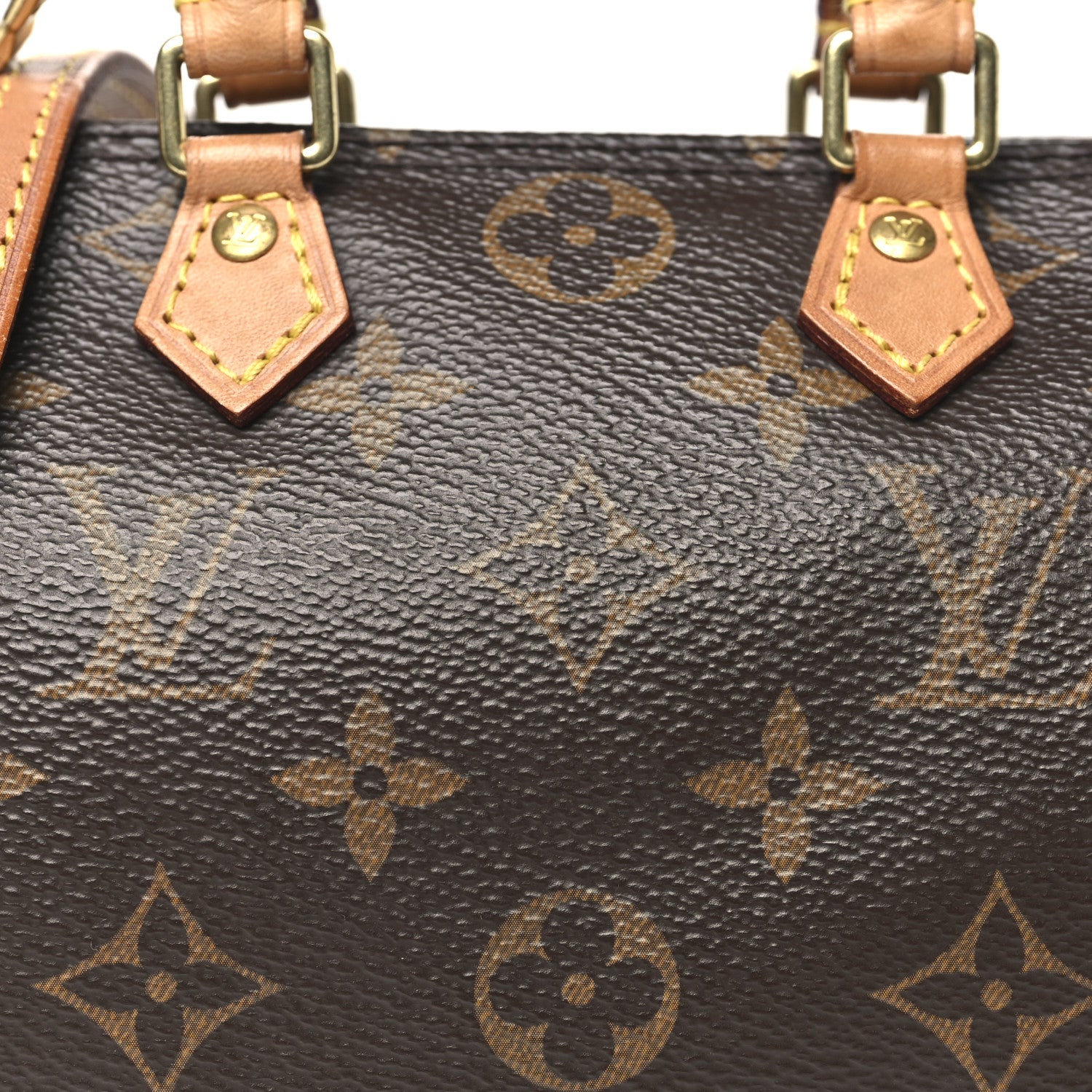 Monogram Nano Speedy