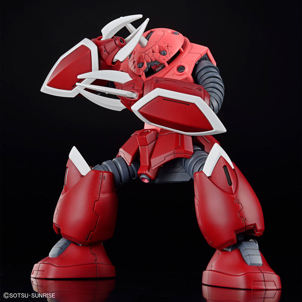 HG Z'GOK (SEED FREEDOM VER)