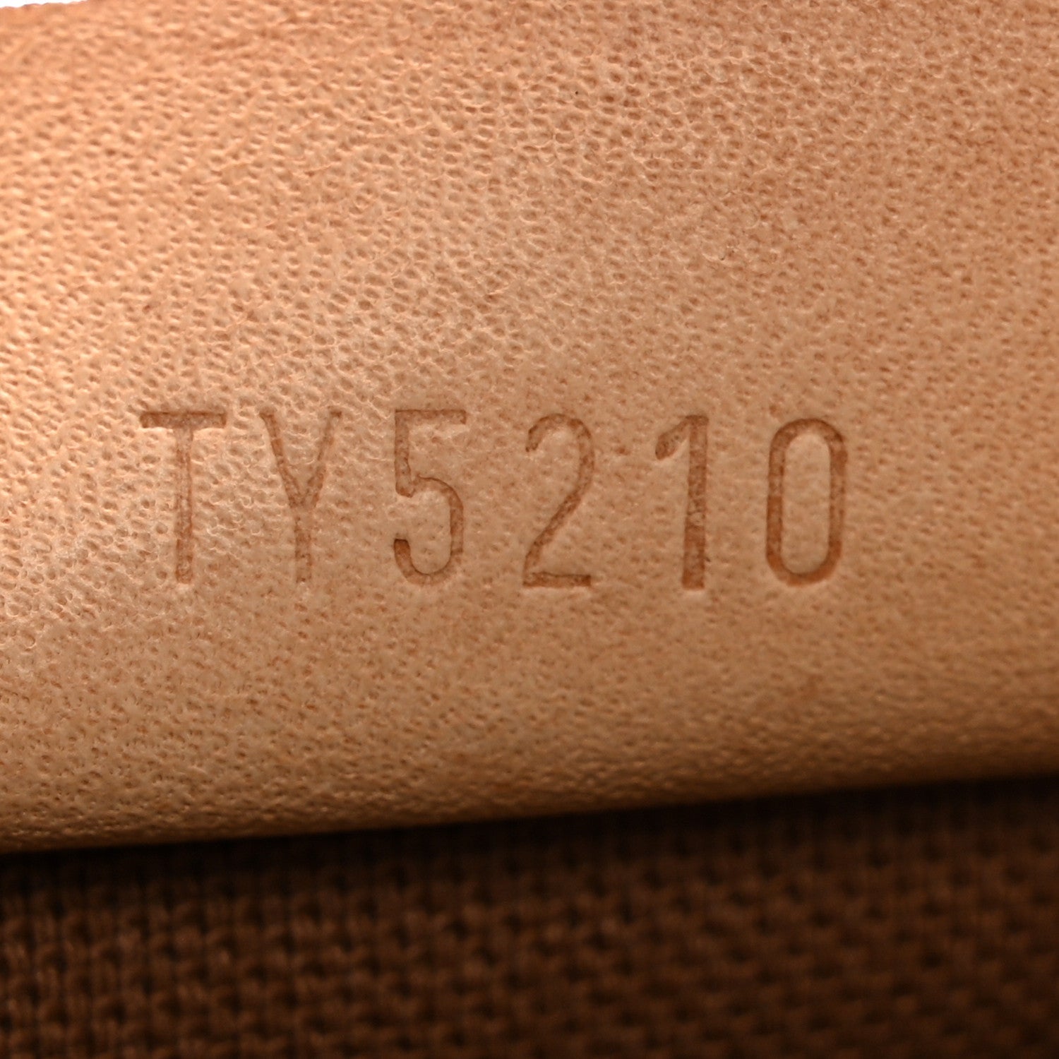 Monogram Nano Speedy