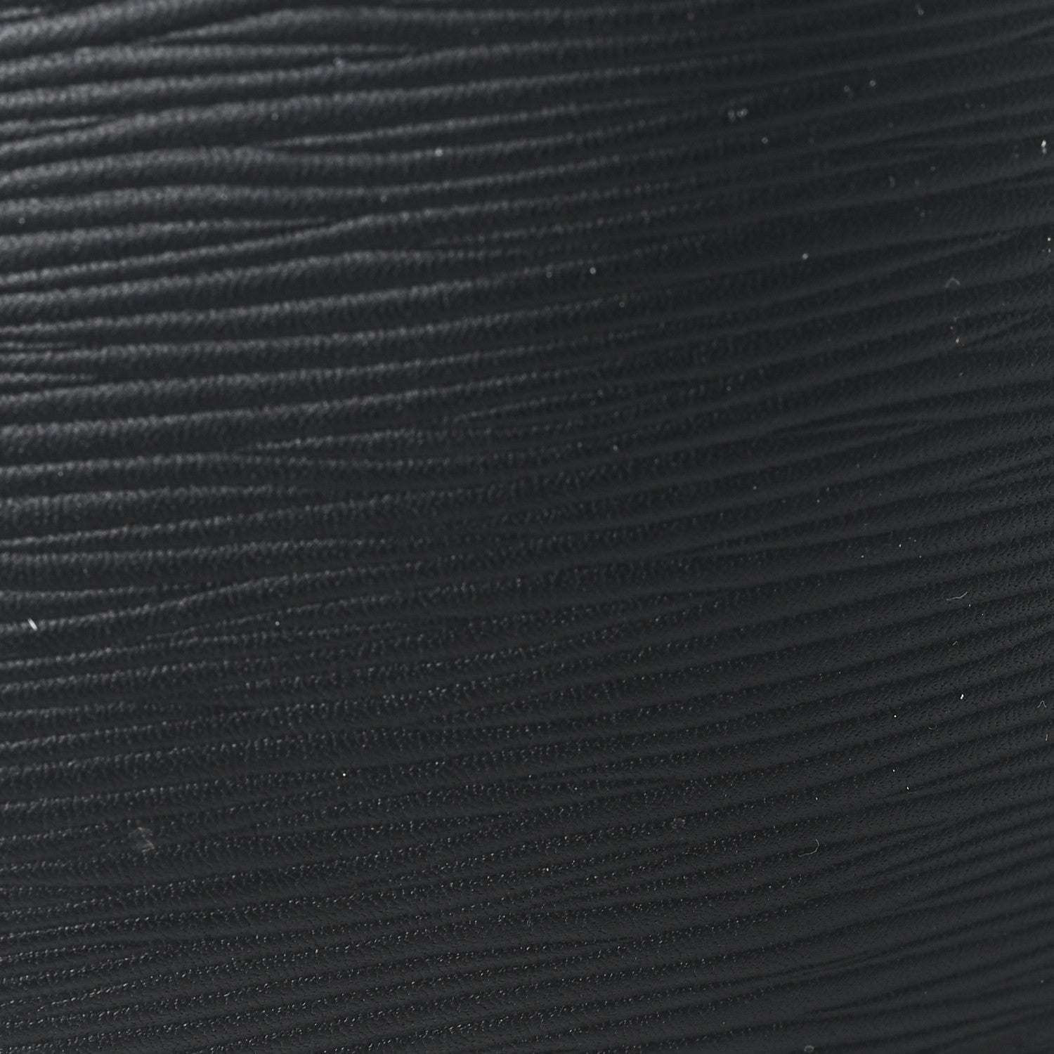 Epi Neverfull MM Black