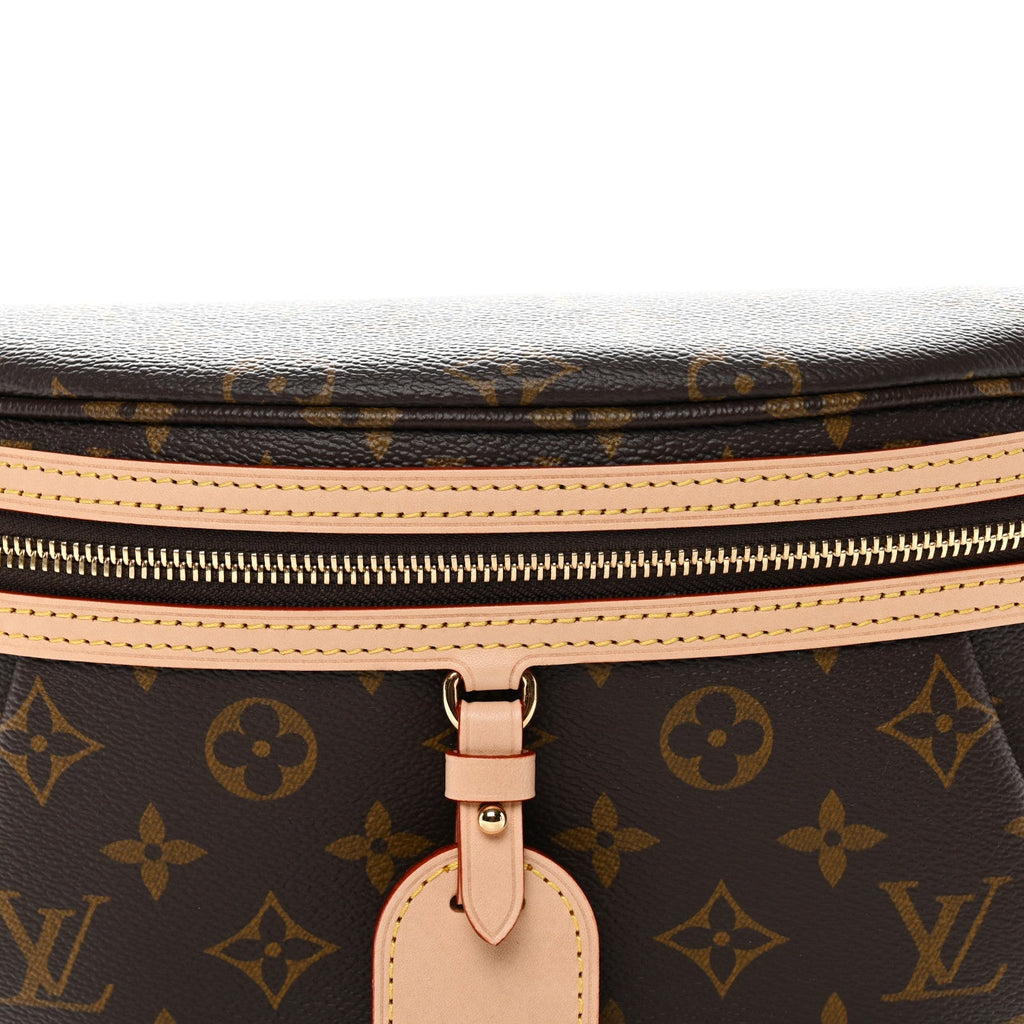 Monogram High Rise Bumbag