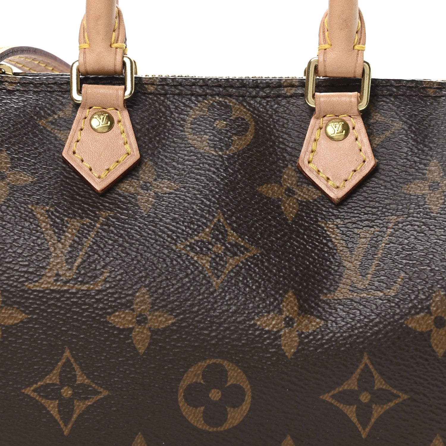 Monogram Nano Speedy