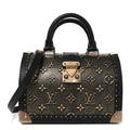Monogram Epic Calfskin Speedy Trunk 20