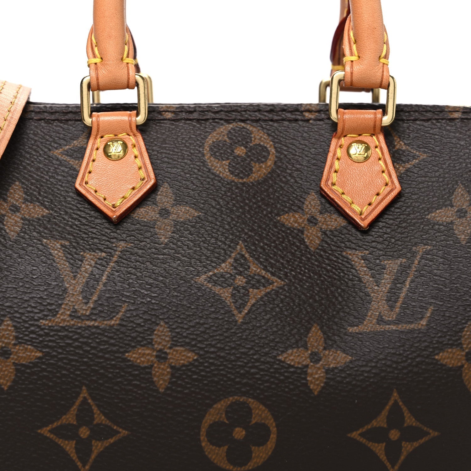 Monogram Nano Speedy