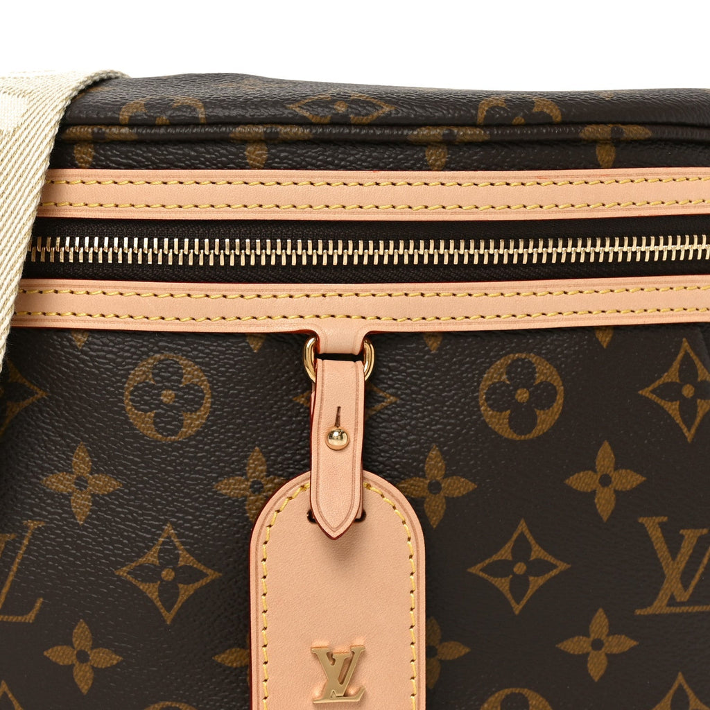 Monogram High Rise Bumbag