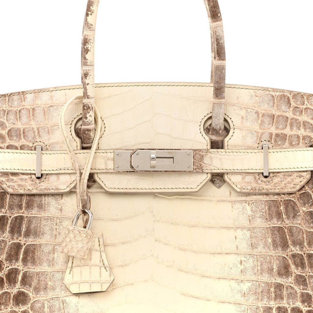 Matte Niloticus Crocodile Himalaya Birkin 30 Blanc