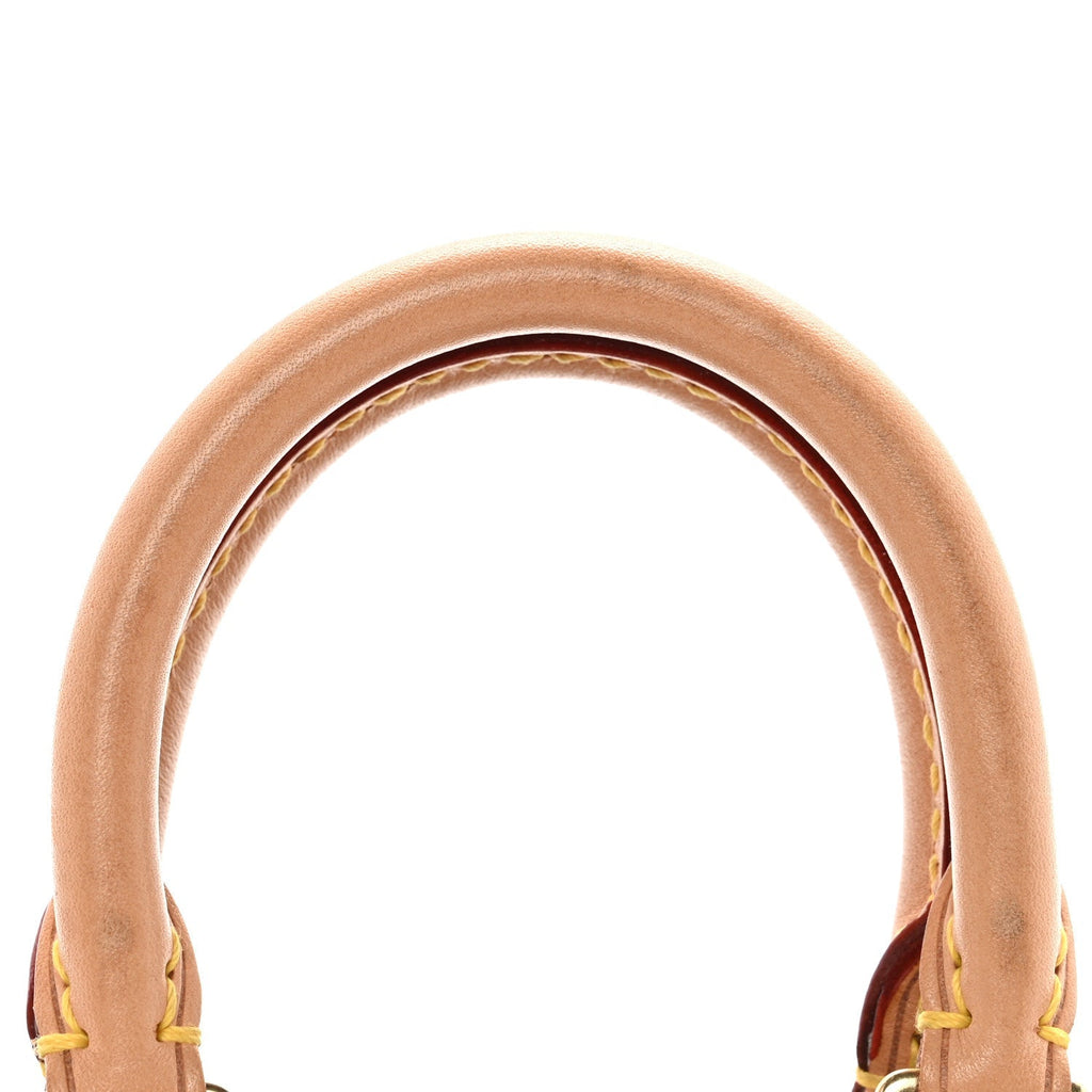 Monogram Nano Speedy